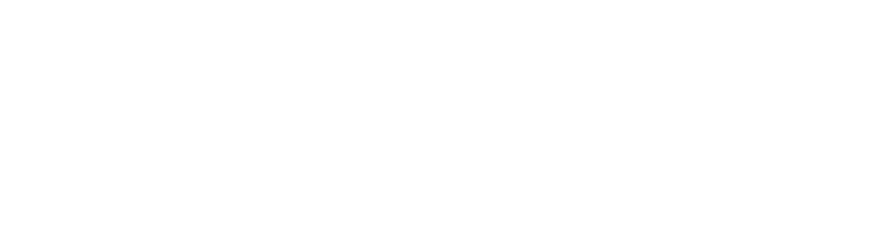 Anwyl 95th anniversary logo